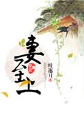 大尾巴狼 作者